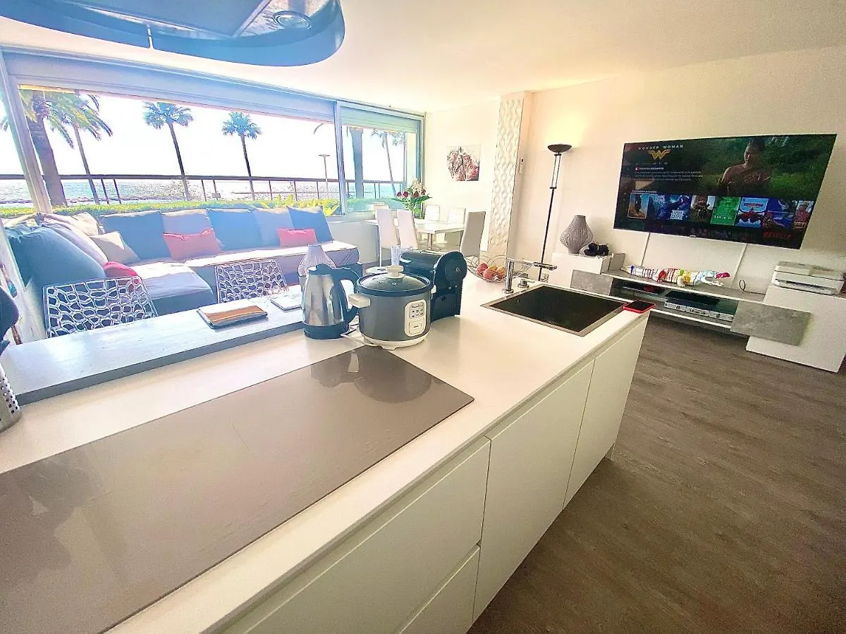 Magnifique Appartement Les Pieds Dans L'Eau A Nice Saint-Laurent-du-Var Apartment
